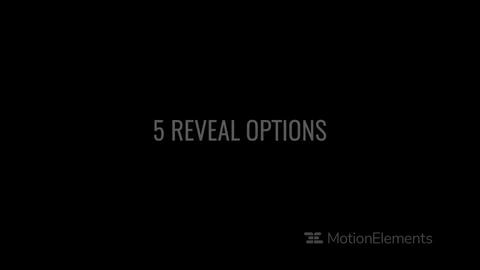 Logo Reveal 4K