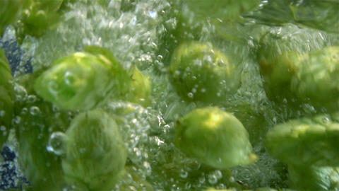 Two videos of hops falling into water in real slow motion