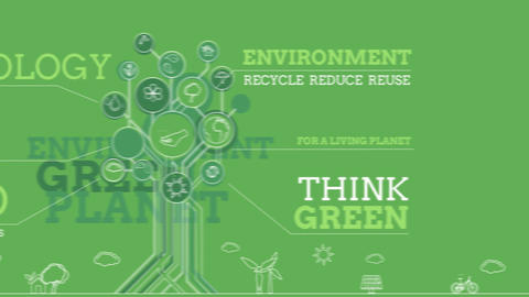 Ecology Infographics - 4