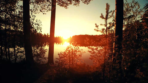 The Forest Lake Timelapse Sunset