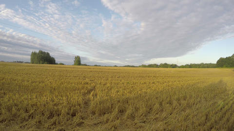 Landscape with electric pylon, time lapse 4k