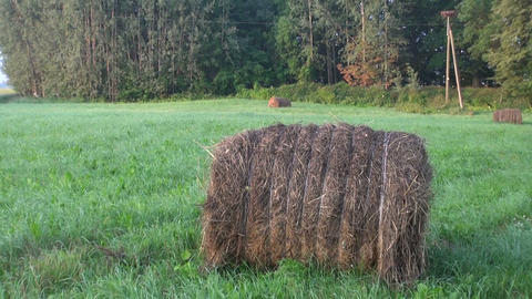 Round stacks of straw