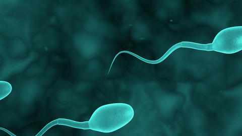 SPERM blue