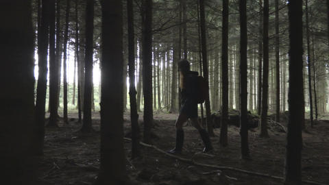 Young woman walk slowly through the trees in the forest