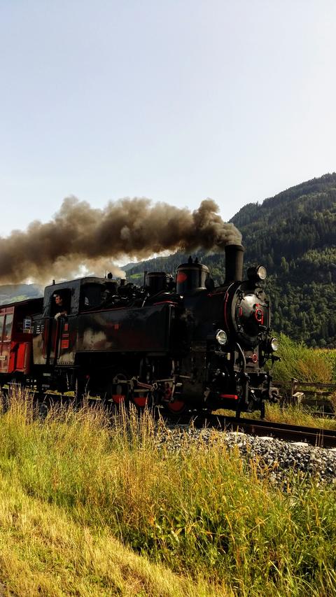 locomotive and grasses (sky, nature, train, summer)