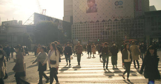 Backlit shot of people crossing hachiko exit in Shibuya, Tokyo