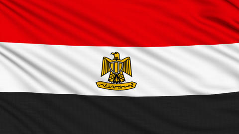 Egyptian flag, with real structure of a fabric