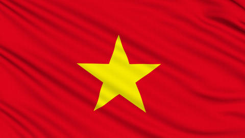 Vietnamese Flag, with real structure of a fabric
