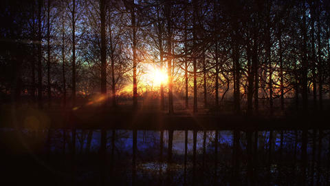 Sunset 8239