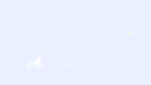 Dream Pix Gallery - Apple Motion - 1