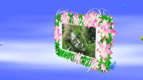 Dream Pix Gallery - Apple Motion - 3