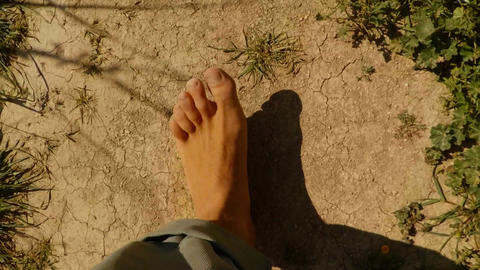 bare feet step on dry soil and rare plants and flowers super close-up, top view,