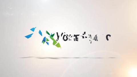 Segments Logo Reveal