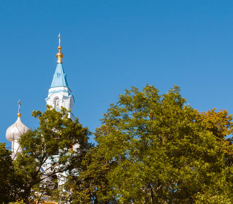 Orthodox Church on the island among the foliage of trees