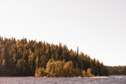 Coast of Ladoga lake autumn day