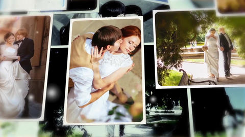 Wedding Photos