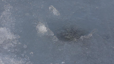 Ice fishing 2. Fisherman pulls out from ice hole grayling