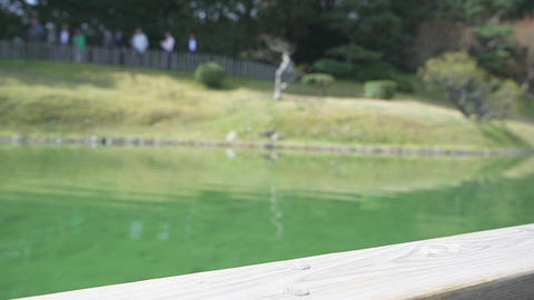 Ritsuringarden,On the ship,pond-1