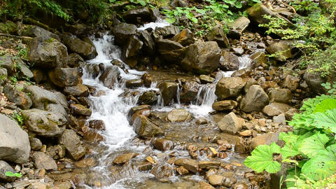 Beautiful waterscape with a fast stony mountain river in summer