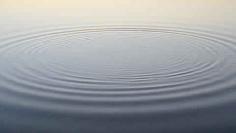Stone falls and plops into water and produces rings on surface