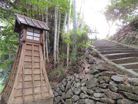 Japanese lantern