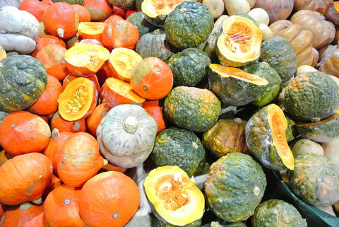 Squashes 2
