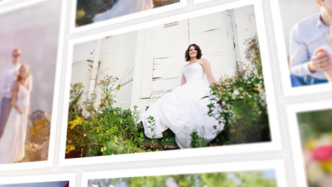 Widding Photo Gallery