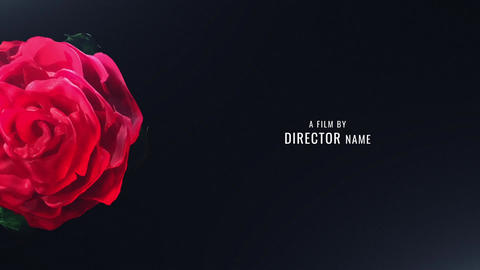 Title Sequence - Love Romantic Valentine Opening Intro