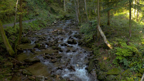 Mountain stream in autumn morning