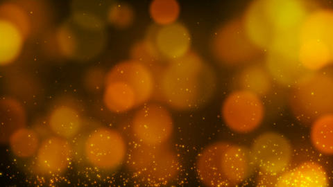 Graceful Bokeh