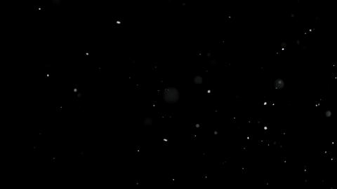White Snow Falling on Isolated Black Background