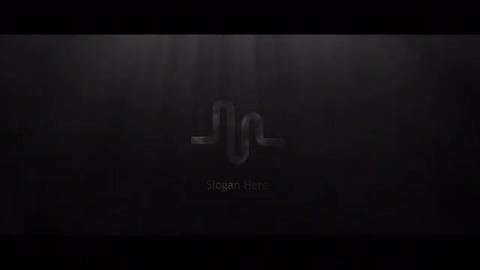 Cinematic Silver & Gold Logo - 1