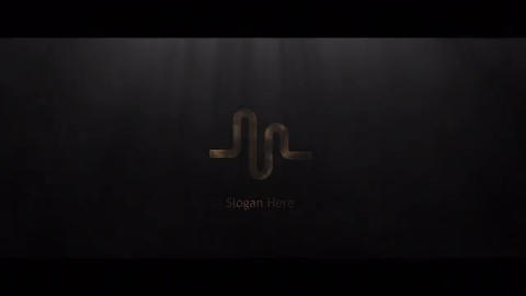 Cinematic Silver & Gold Logo - 4