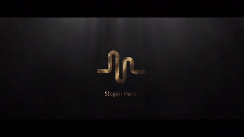 Cinematic Silver & Gold Logo - 5