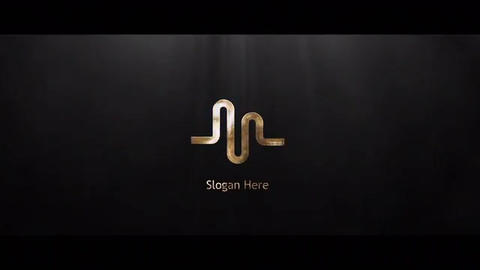 Cinematic Silver & Gold Logo - 6