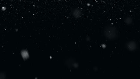 Snow_White_01