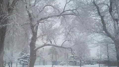 Driving Side View Shot of Snowy Streets of Utah