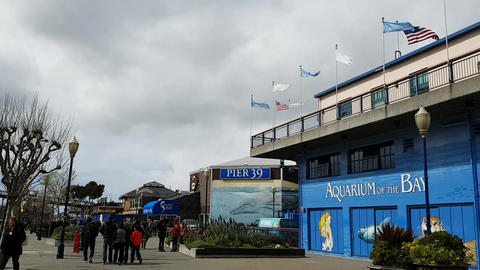 Glance of San Francisco Pier 39 and Aquarium