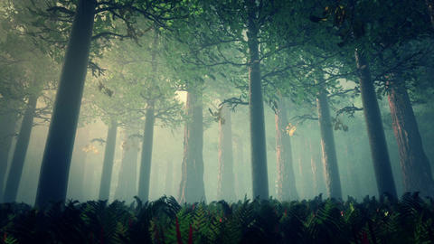 Deep Forest Fairy Tale Scene 3D render