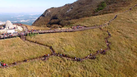 Ganwoljae Eogsae Festival in Sinbulsan Mountain, Uljugun, Ulsan, South Korea,
