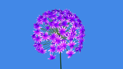 3d Fractal flower blooming. African Lily 3d animation . Computer generated procedural growth
