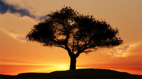 1076 Lone Tree Spring Sunset
