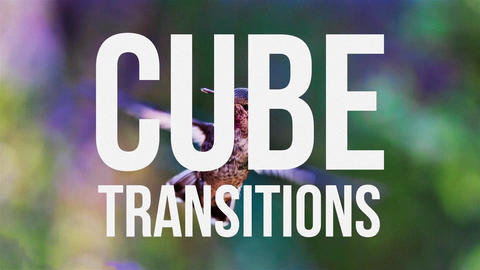 Cube Transitions After Effectsテンプレート 13100247 | MotionElements