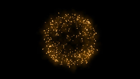Firework 14