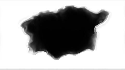Partners Splatter spreading on pure backdrop transition