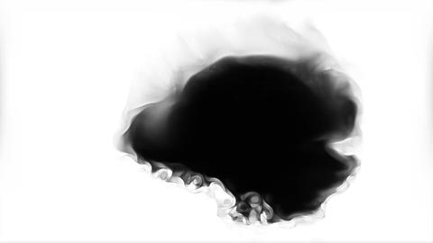 Bytes Black ink spreading on white background transition
