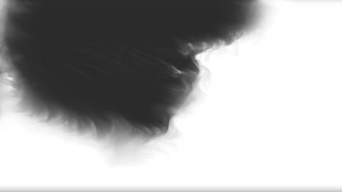 Lifelong Ink Spreading On White Background Transitions