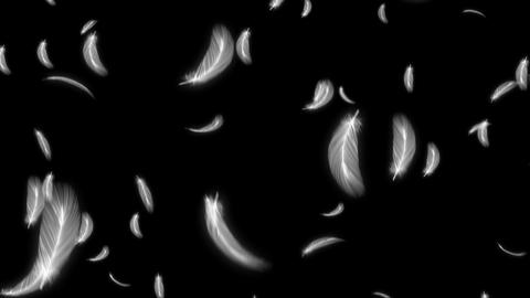 Feather