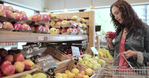 13460695