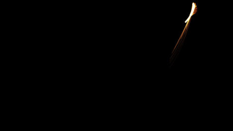 Particular arrow - 1
